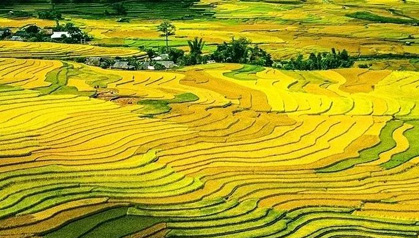 【立秋】葉落知秋，豐收正當(dāng)時(shí)